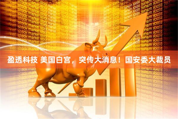 盈透科技 美国白宫，突传大消息！国安委大裁员