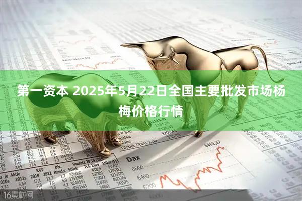 第一资本 2025年5月22日全国主要批发市场杨梅价格行情